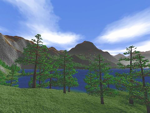 Group of pine trees